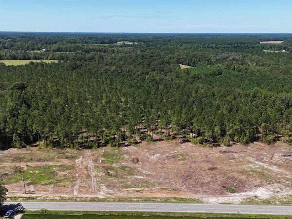 TBD Highway 19, Nichols, SC 29581