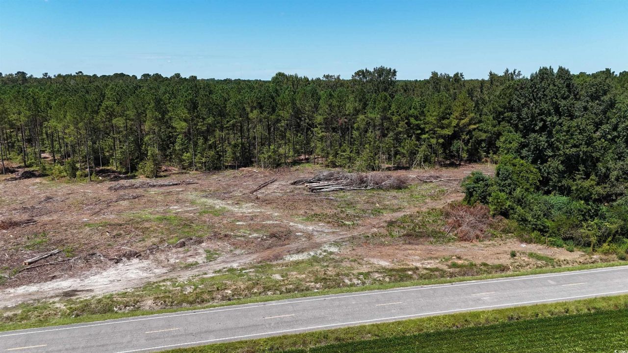 Tbd Highway 19 Photo 11