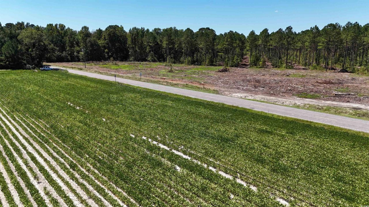 Tbd Highway 19 Photo 12