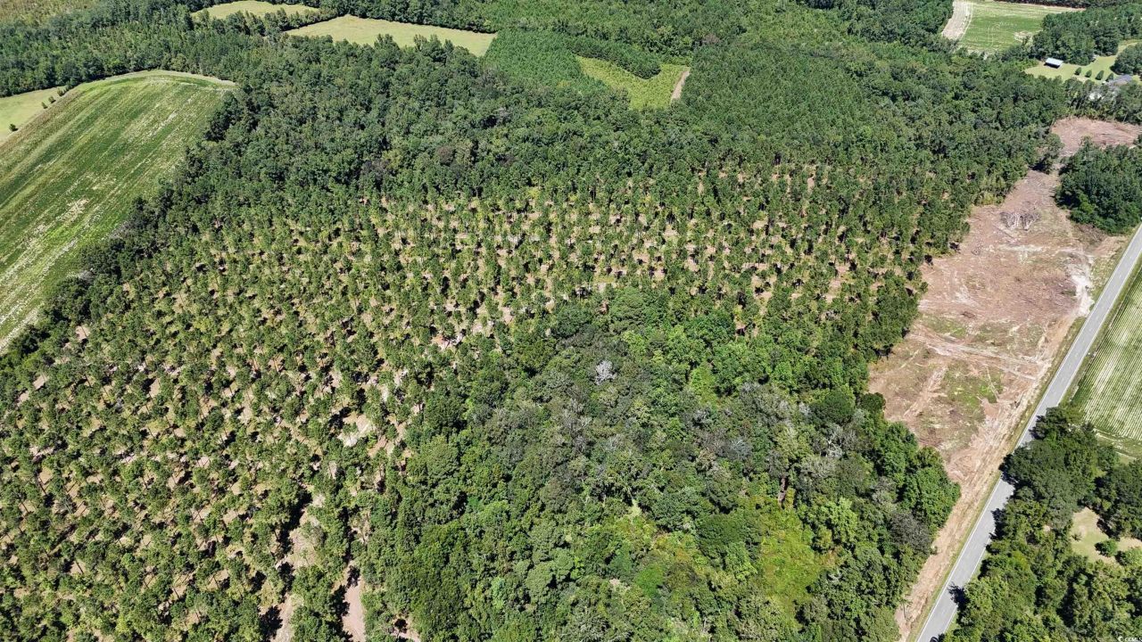 Tbd Highway 19 Photo 18