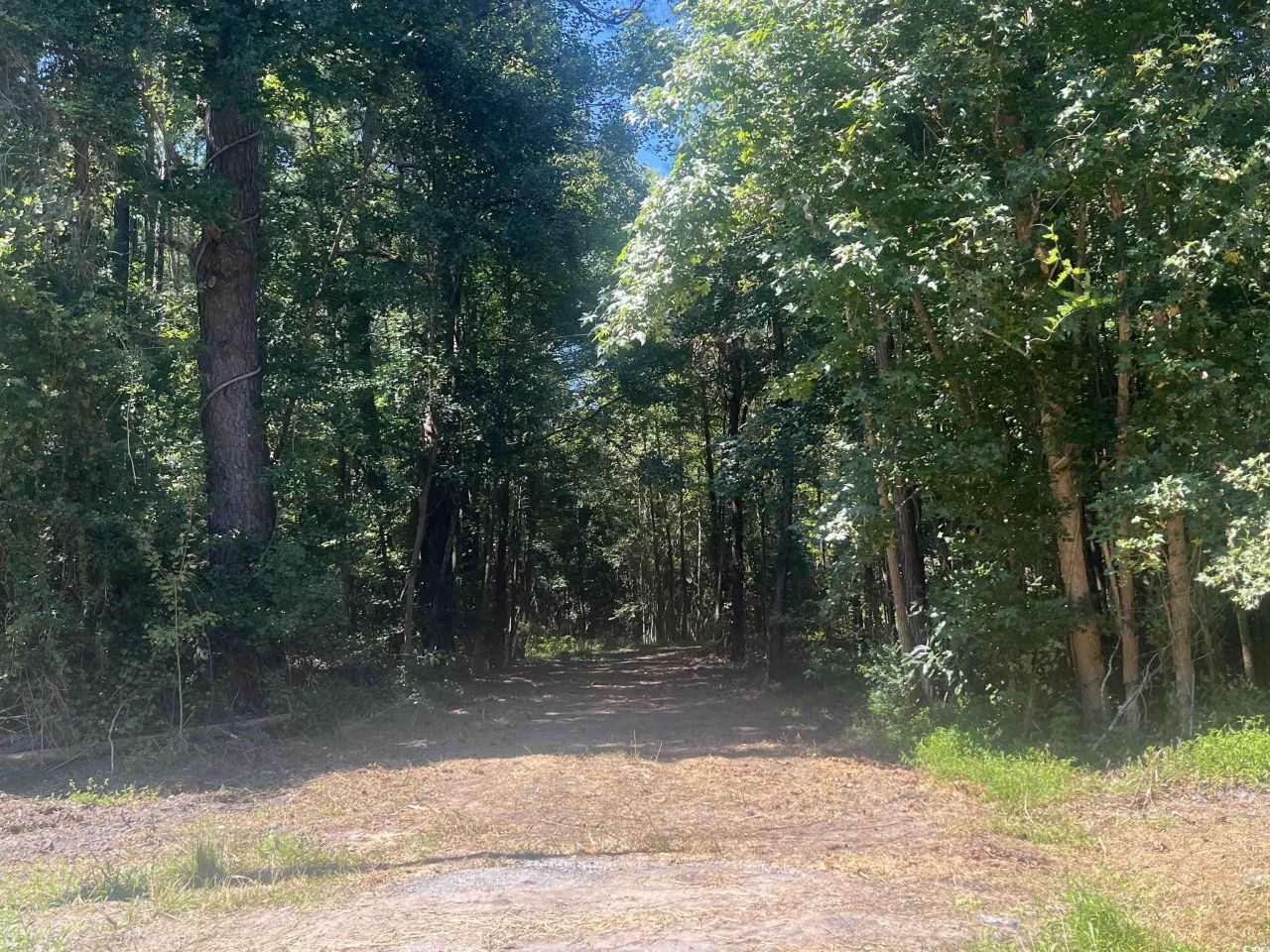 Tbd Highway 19 Photo 20