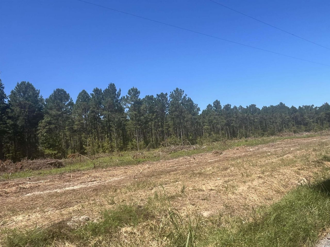 Tbd Highway 19 Photo 21