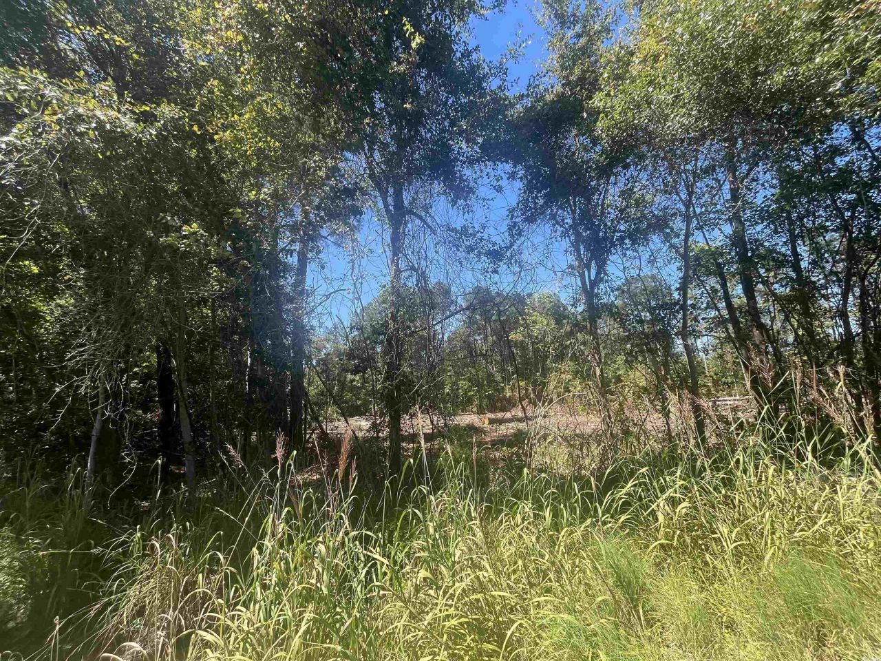 Tbd Highway 19 Photo 25