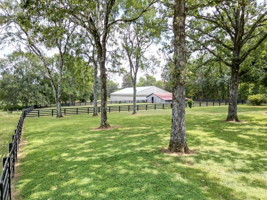 Property Image 81