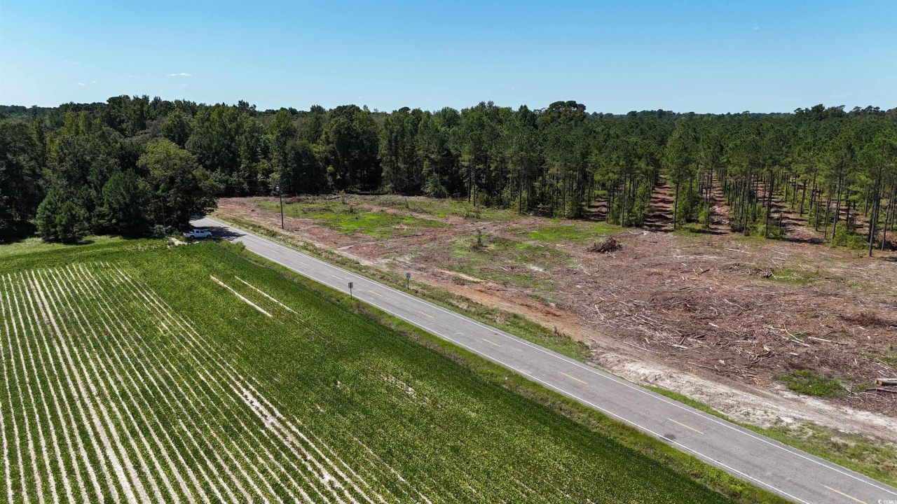 Tbd Highway 19 Photo 10