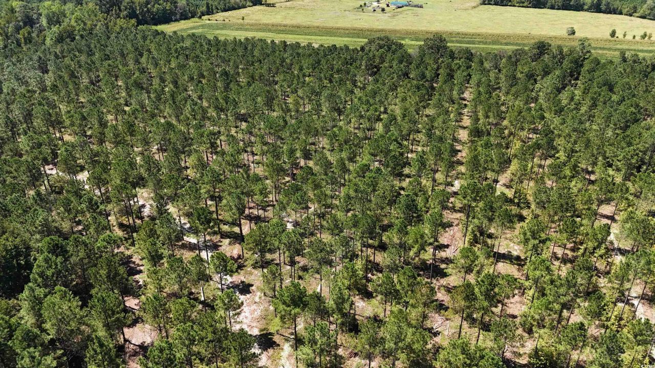 Tbd Highway 19 Photo 14