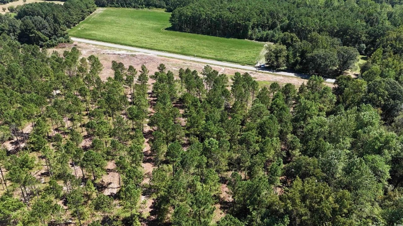 Tbd Highway 19 Photo 15