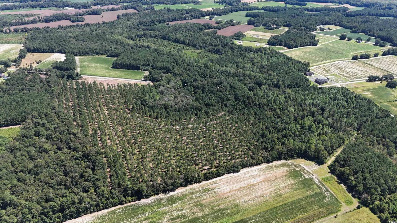 Tbd Highway 19 Photo 16