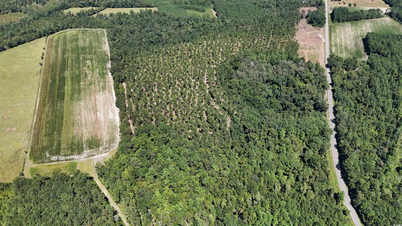 Tbd Highway 19 Photo 17