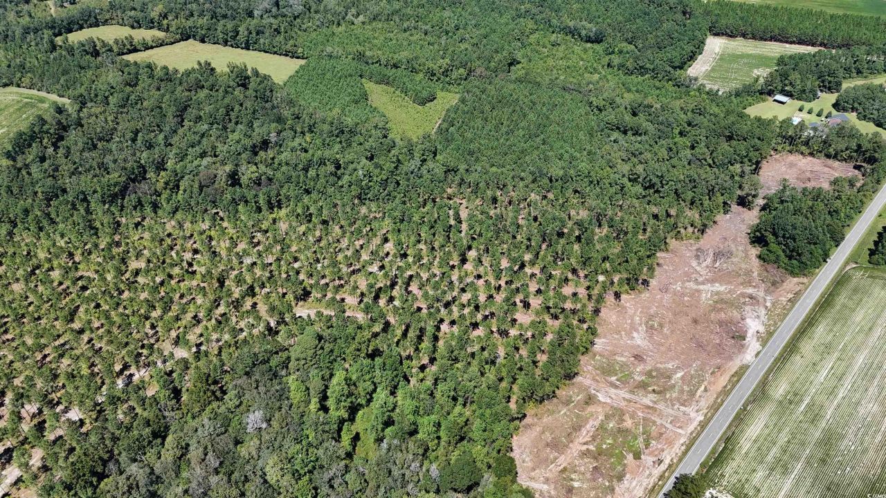 Tbd Highway 19 Photo 19