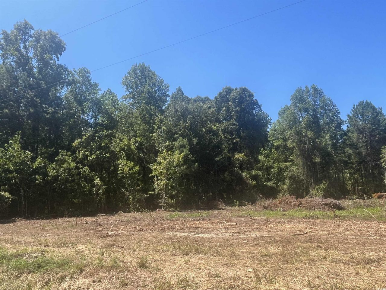 Tbd Highway 19 Photo 22