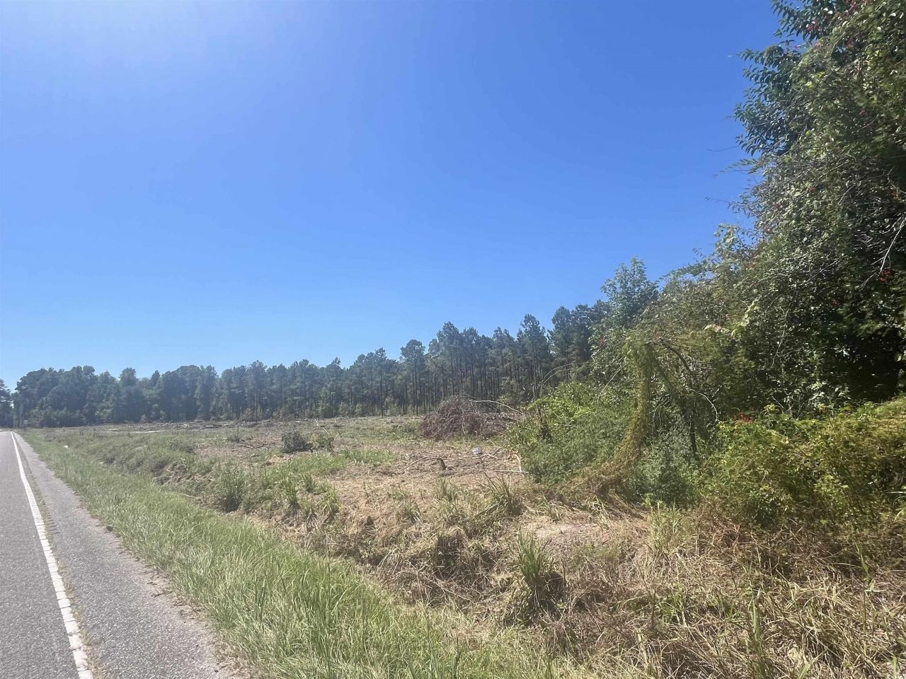 Tbd Highway 19 Photo 24