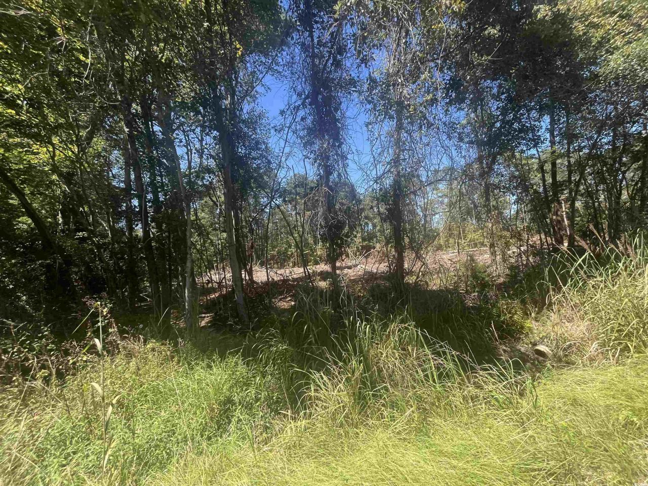 Tbd Highway 19 Photo 26