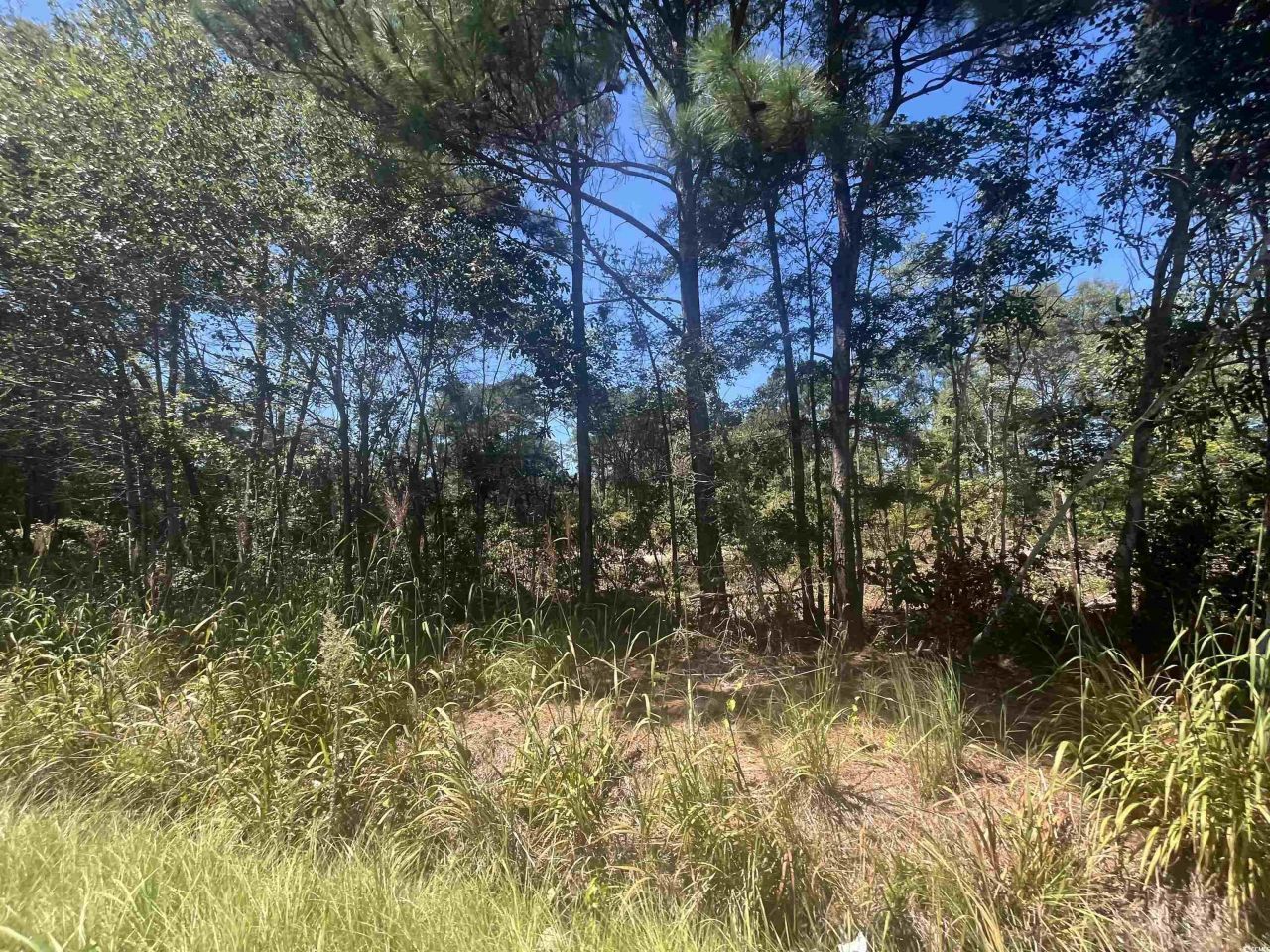 Tbd Highway 19 Photo 27