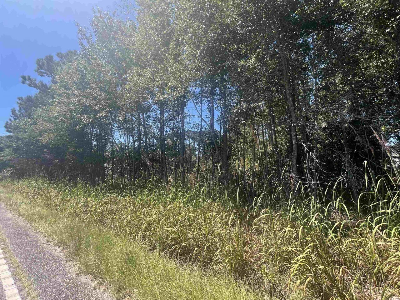 Tbd Highway 19 Photo 28