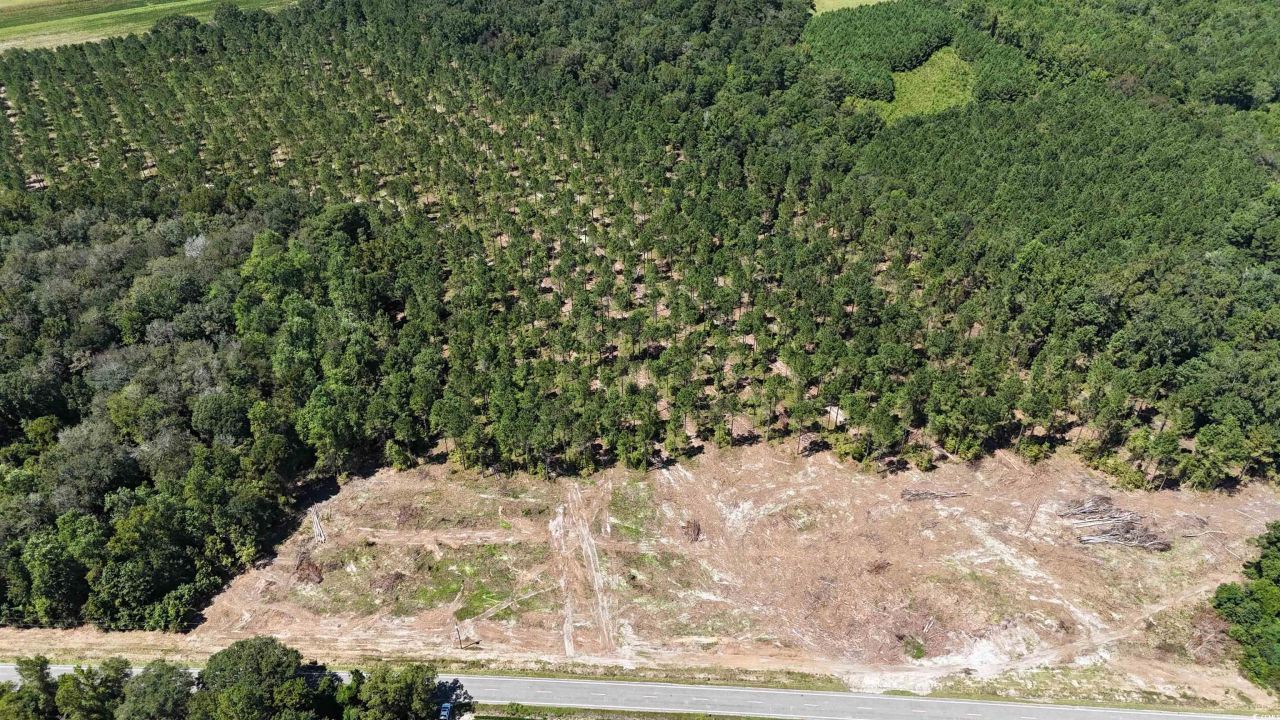 Tbd Highway 19 Photo 6