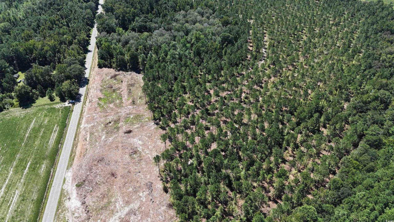 Tbd Highway 19 Photo 8