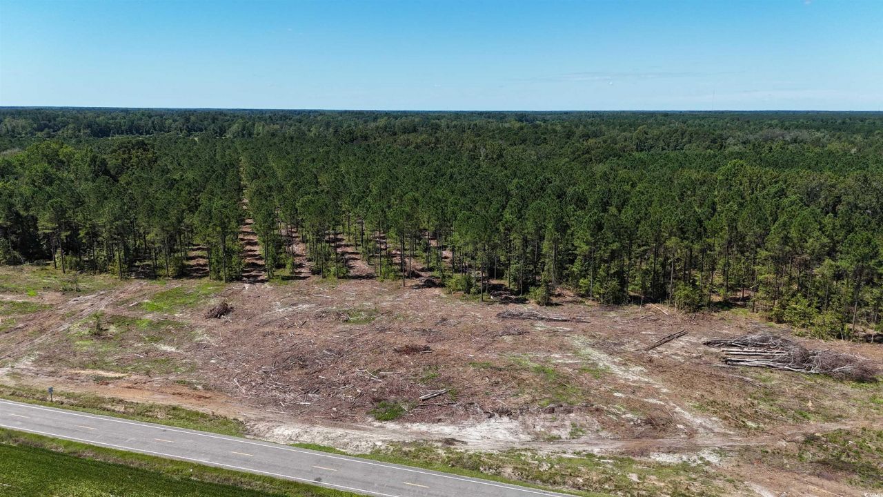 Tbd Highway 19 Photo 9