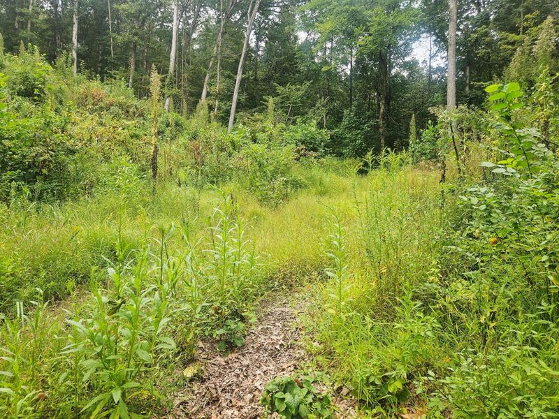 513 Ross Road SE, Lancaster, OH 43130 Photo 12