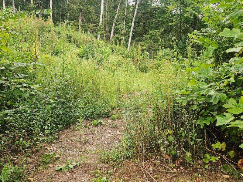 513 Ross Road SE, Lancaster, OH 43130 Photo 14