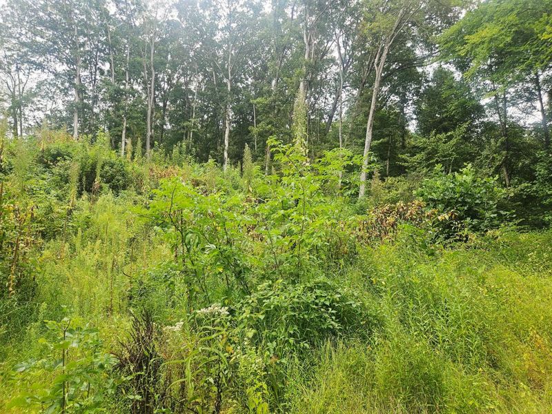 513 Ross Road SE, Lancaster, OH 43130 Photo 15