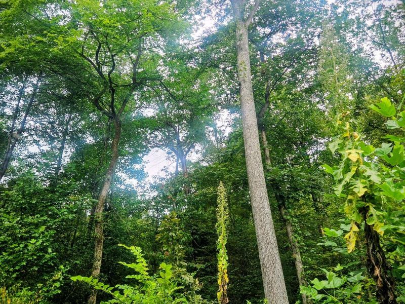 513 Ross Road SE, Lancaster, OH 43130 Photo 17