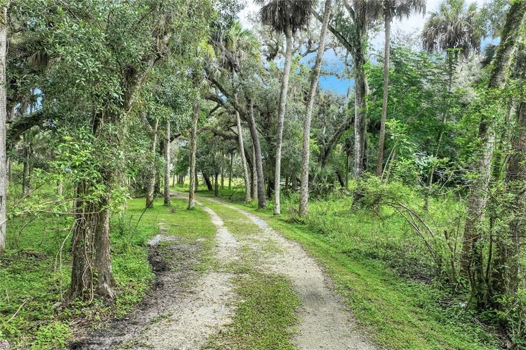 21211 Palm Beach Blvd, Alva, FL 33920 Photo