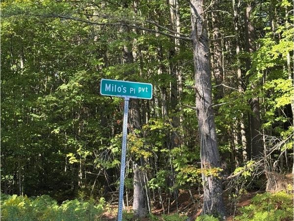 Lot 5 Milo's Place, Unit Lot 5, Worcester, VT 05682