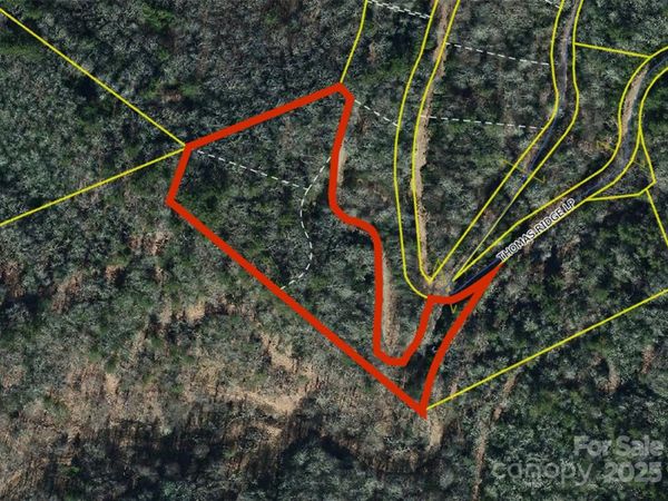 0000 Thomas Ridge Loop, Green Mountain, NC 28740