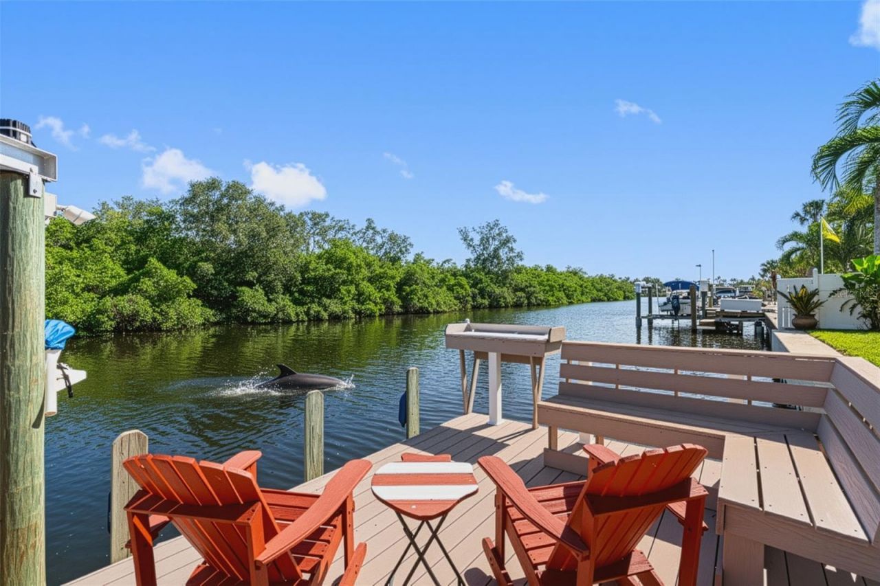 1131 45th Avenue Ne, Saint Petersburg, FL 33703 Photo