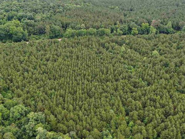 02 Highway 28, Mize, MS 39116