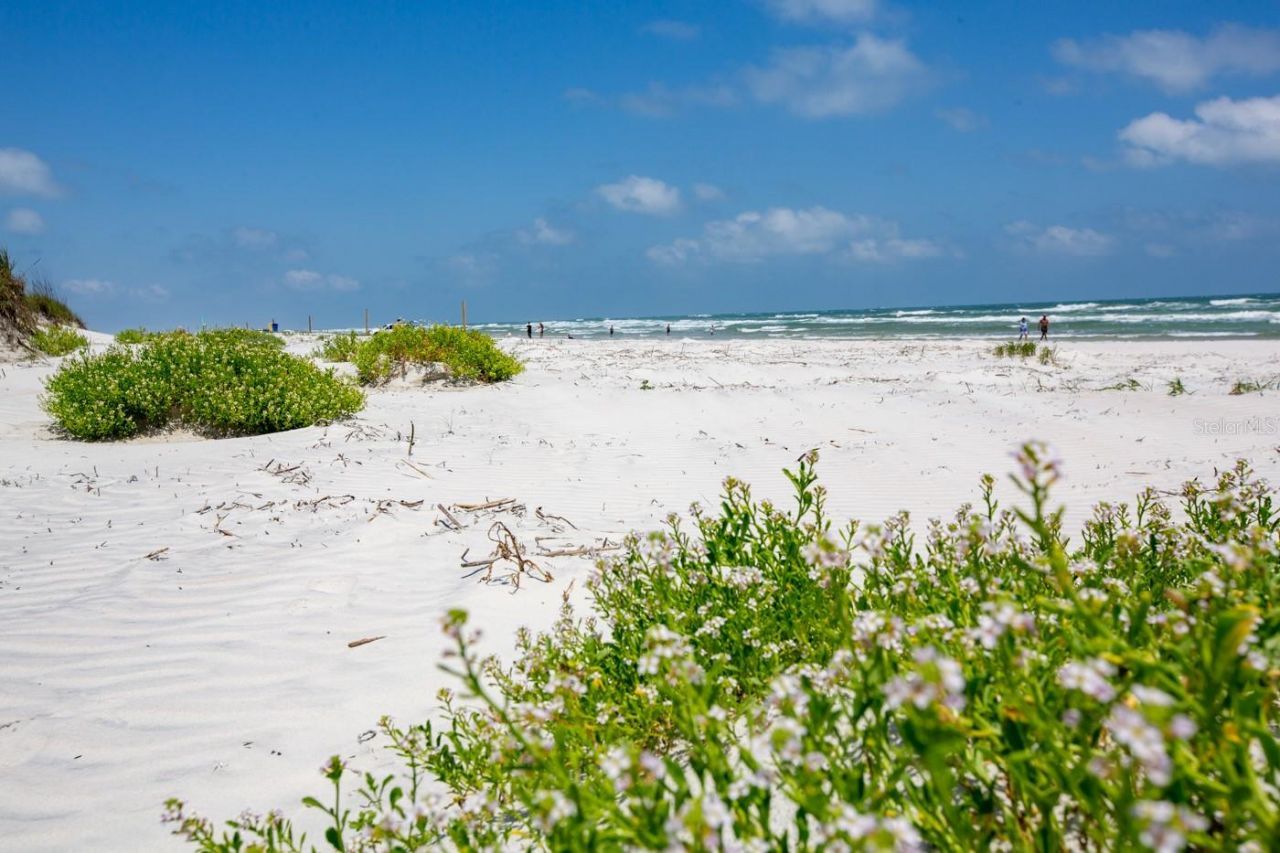 265 Minorca Beach Way, Unit 402, New Smyrna Beach, FL 32169 Photo