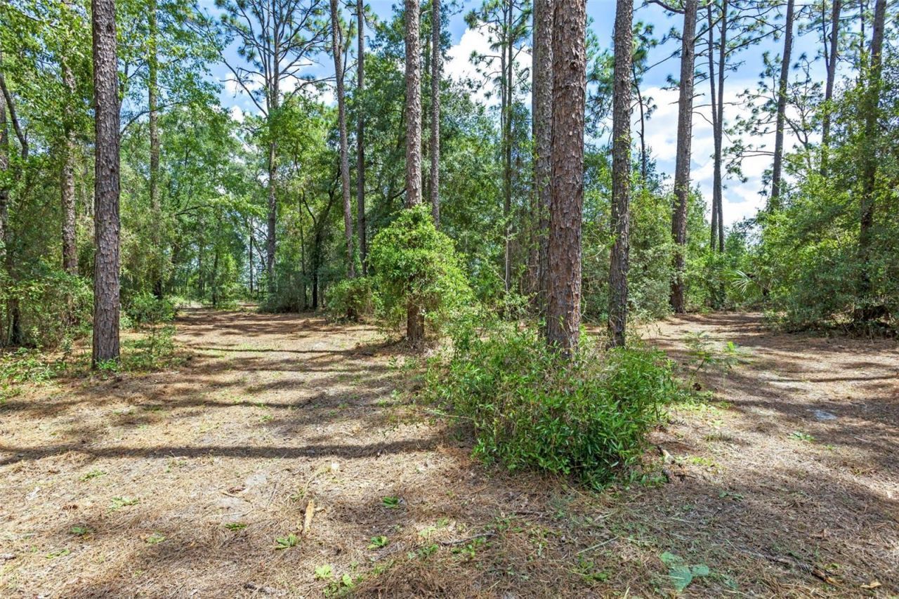 1467 County Road 543a, Sumterville, FL 33585 Photo