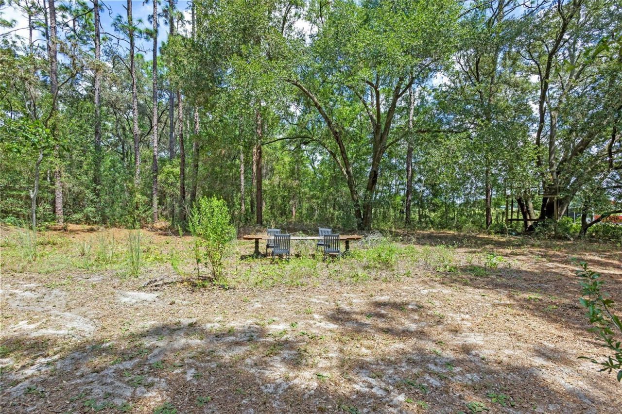 1467 County Road 543a, Sumterville, FL 33585 Photo