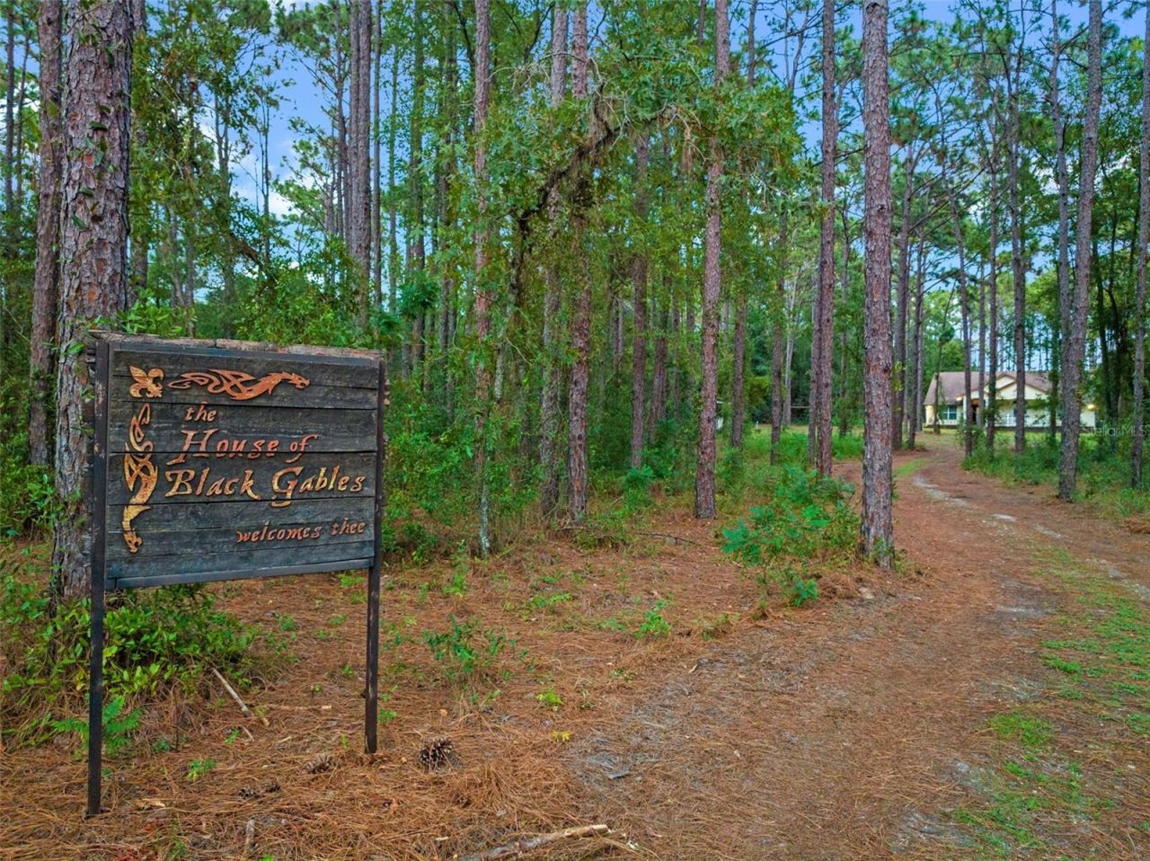 1467 County Road 543a, Sumterville, FL 33585 Photo