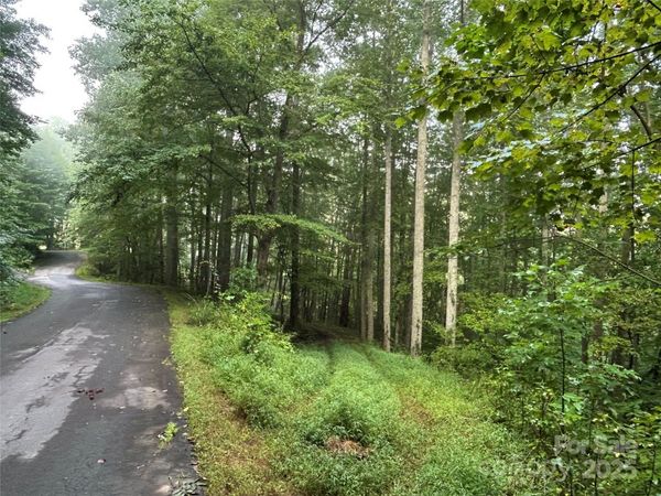 100 S Lindon Cove Road , Candler, NC 28715