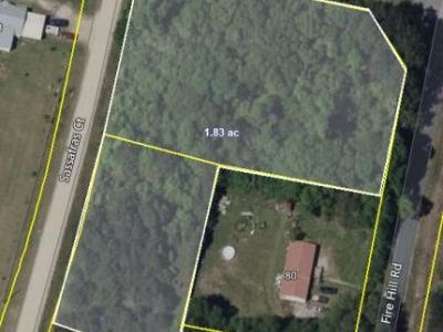 0 Sassafras Court, Walterboro, SC 29488