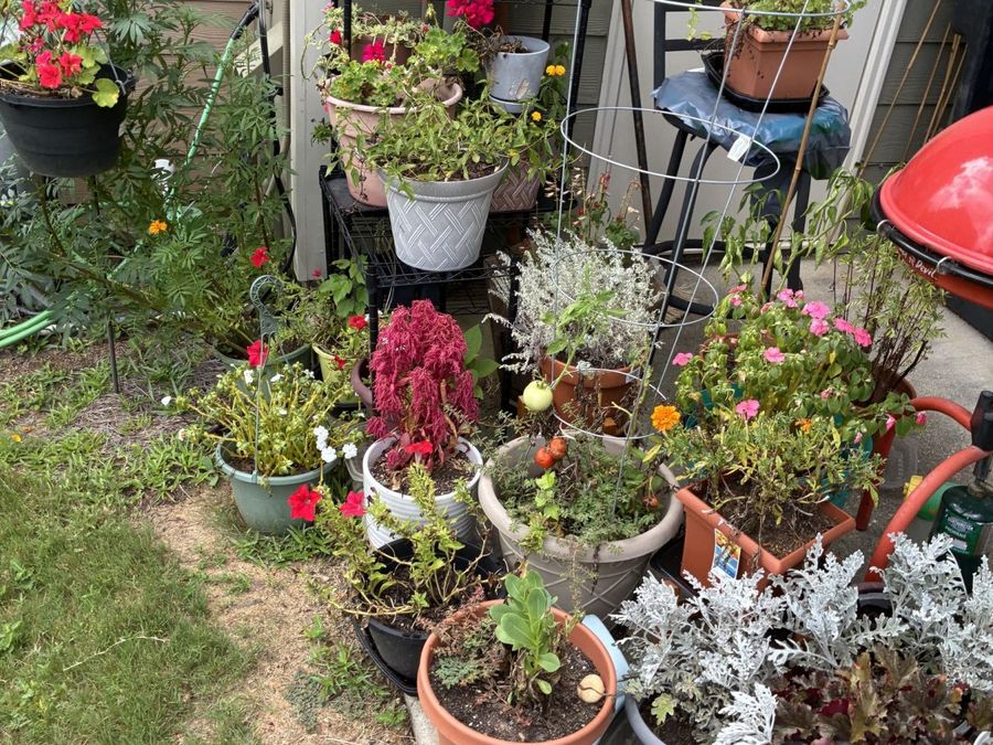 Property Image 14