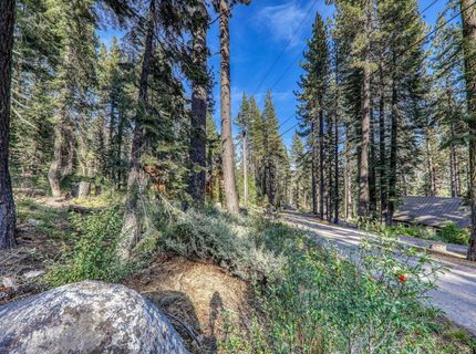 51207 Jeffery Pine Drive, Soda Springs, CA 95728 Photo