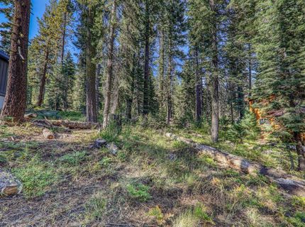 51207 Jeffery Pine Drive, Soda Springs, CA 95728 Photo