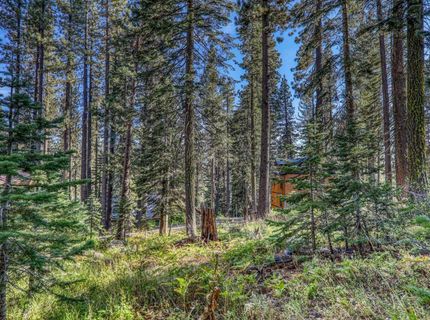 51207 Jeffery Pine Drive, Soda Springs, CA 95728 Photo