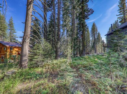 51207 Jeffery Pine Drive, Soda Springs, CA 95728 Photo