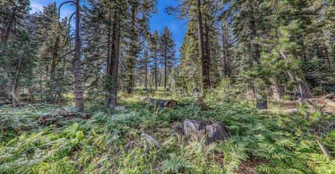 51207 Jeffery Pine Drive, Soda Springs, CA 95728 Photo