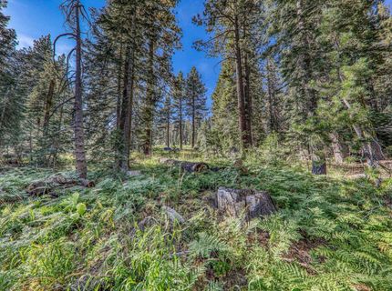 51207 Jeffery Pine Drive, Soda Springs, CA 95728 Photo