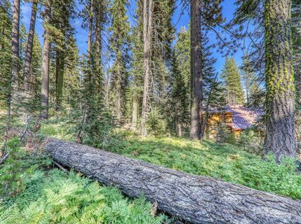 51207 Jeffery Pine Drive, Soda Springs, CA 95728 Photo