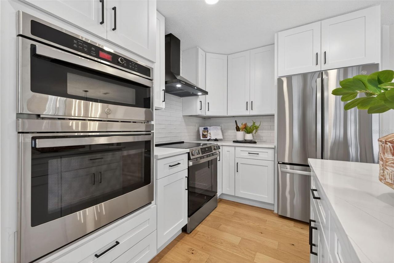 3956 Belmoor Drive, Palm Harbor, FL 34685 Photo