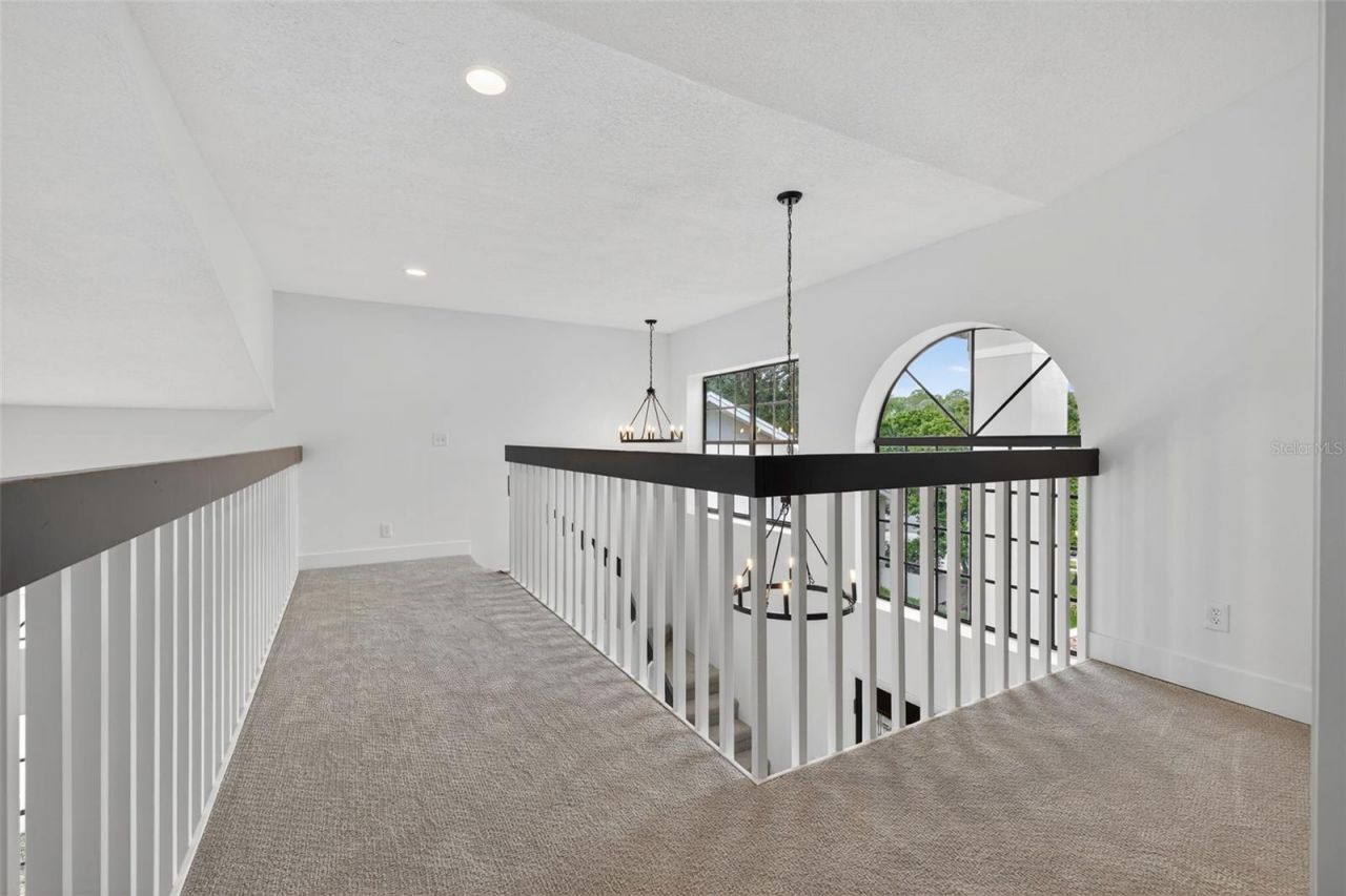 3956 Belmoor Drive, Palm Harbor, FL 34685 Photo