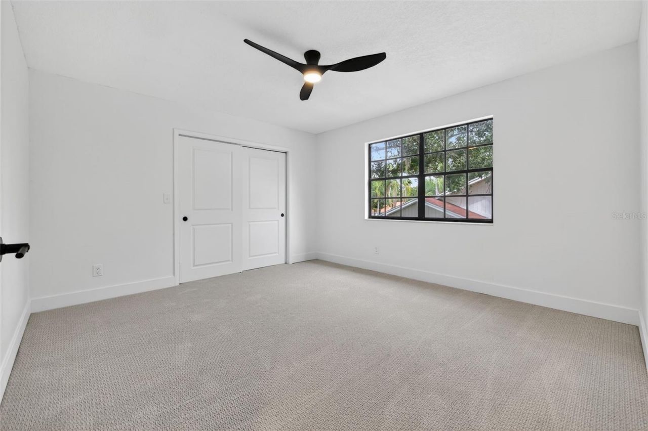 3956 Belmoor Drive, Palm Harbor, FL 34685 Photo