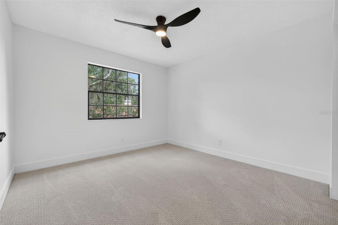 3956 Belmoor Drive, Palm Harbor, FL 34685 Photo