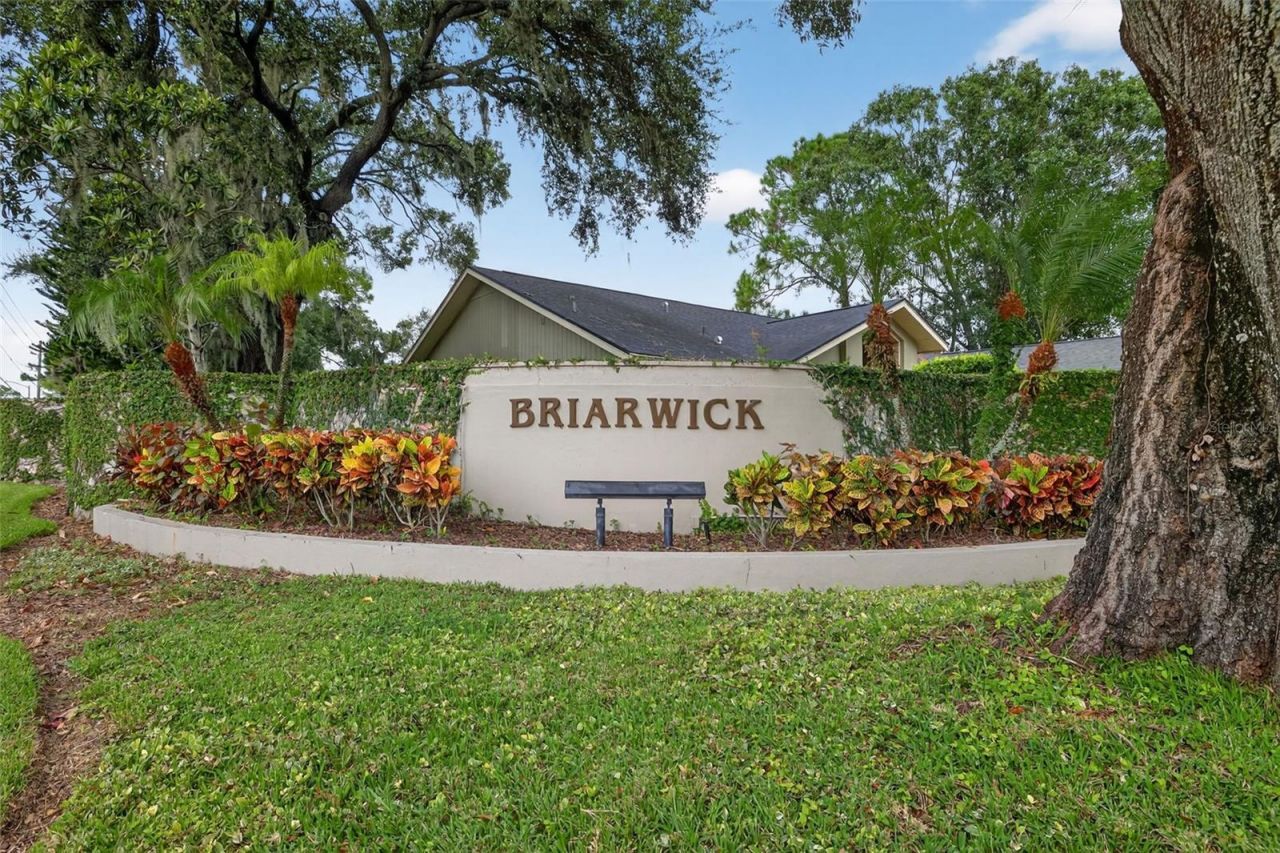 3956 Belmoor Drive, Palm Harbor, FL 34685 Photo